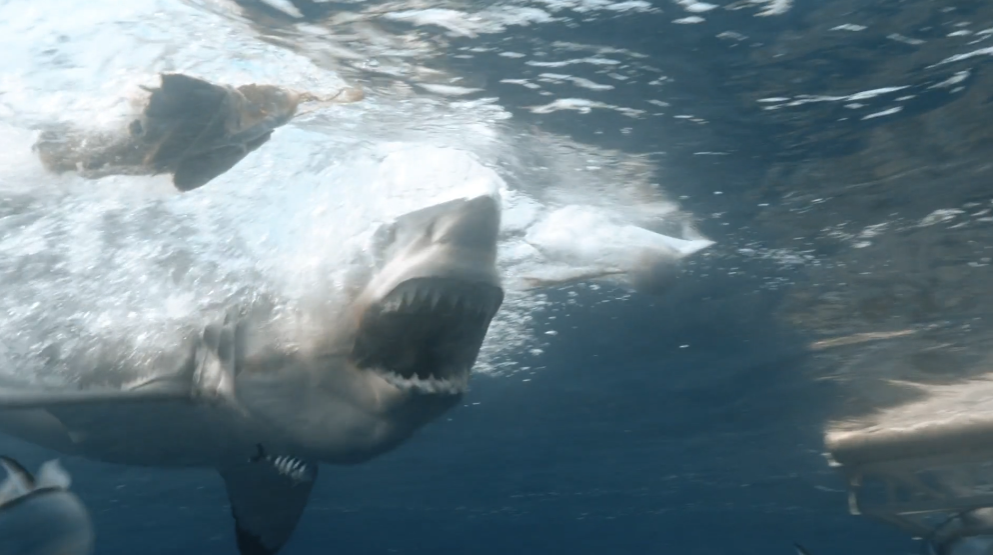 snapshot from a documentary M&C Saatchi developed