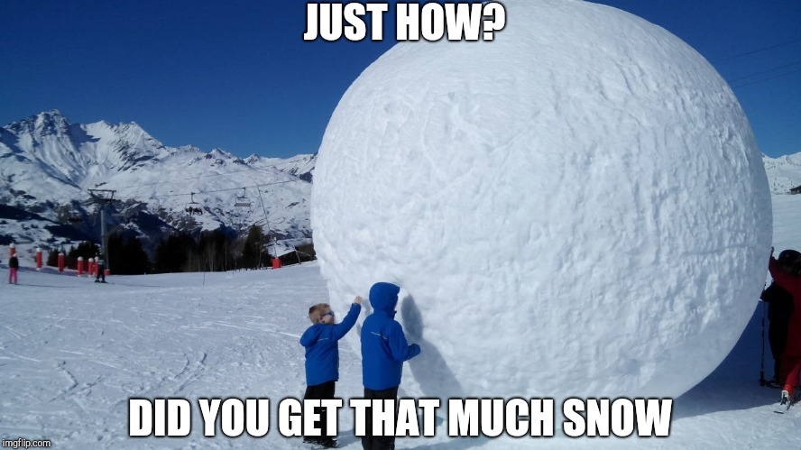 snowball meme